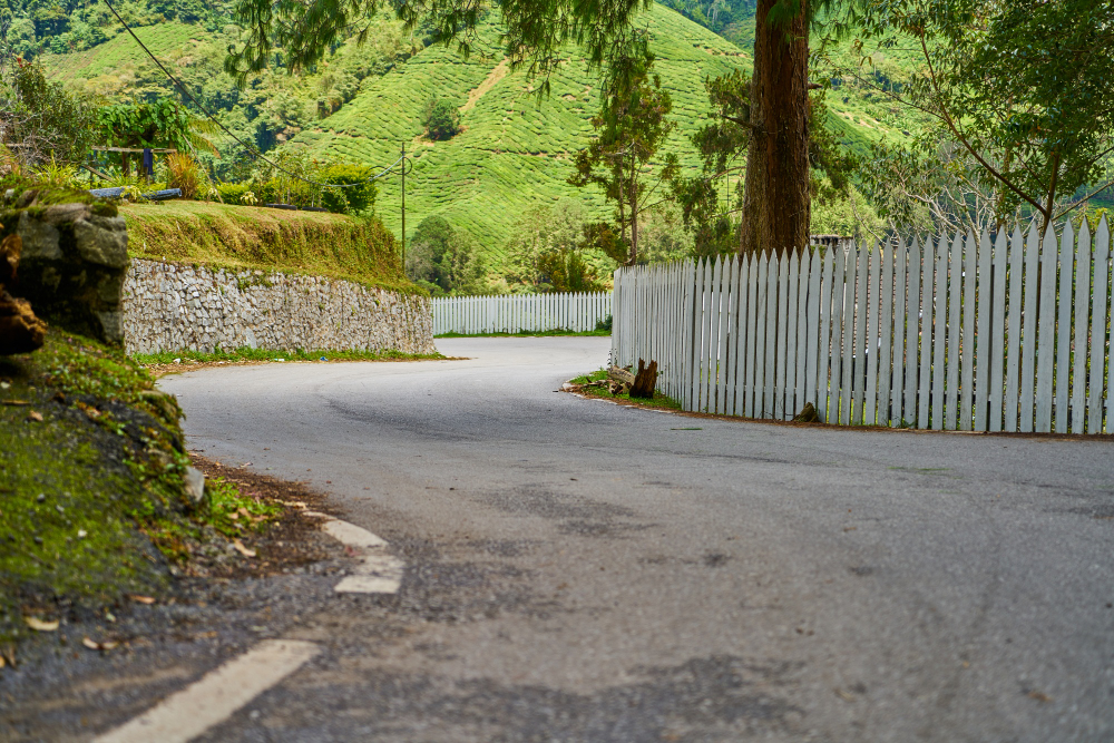 The Durability of Tar and Chip Driveways