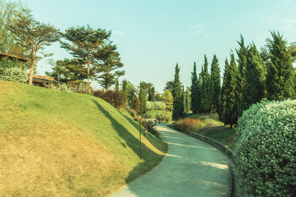 The Process of Installing Tar and Chip Driveways